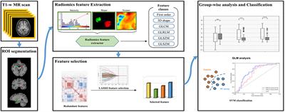 Amygdala's T1-weighted image radiomics outperforms volume for differentiation of anxiety disorder and its subtype